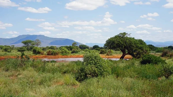 Paisagem Cênica Torno Todo Água Parque Nacional Quênia — Fotografia de Stock