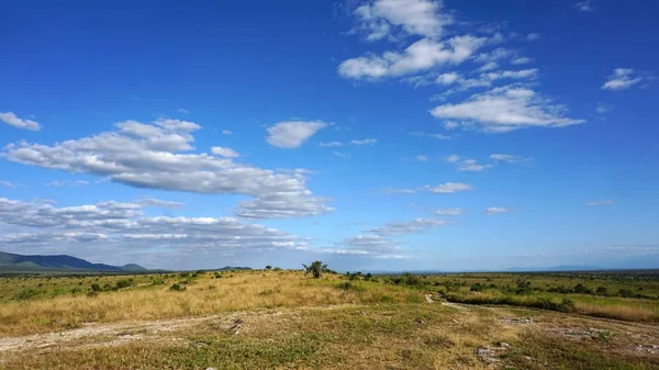 Πράσινο Φυσικό Τοπίο Της Κένυας Safari Park Μετά Βρέχει Σεζόν — Φωτογραφία Αρχείου