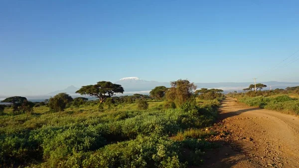 Paesaggio Nel Parco Nazionale Keniota Con Monte Kilimangiaro — Foto Stock