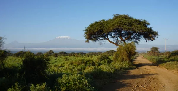 kilimanjaro Dağı ile Kenya milli park peyzaj