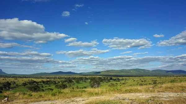 Paisagem Natural Verde Parque Safári Quênia Após Estação Chuvosa — Fotografia de Stock