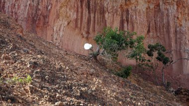 Hells mutfak Kanyonu Keyna Marafa