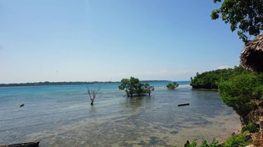 tropik ada wasini Kenya sahil