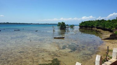 tropik ada wasini Kenya sahil