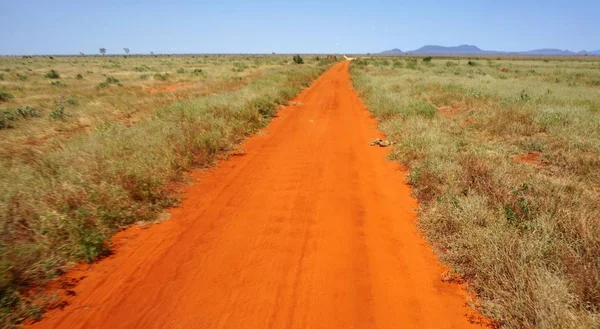 Kenya Ulusal Park tozlu kırmızı yol