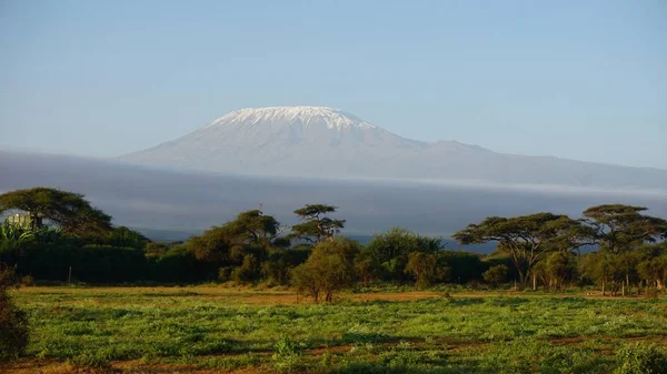 kilimanjaro Dağı ile Kenya milli park peyzaj