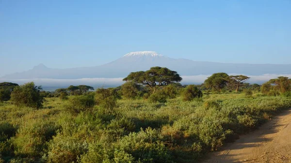 kilimanjaro Dağı ile Kenya milli park peyzaj