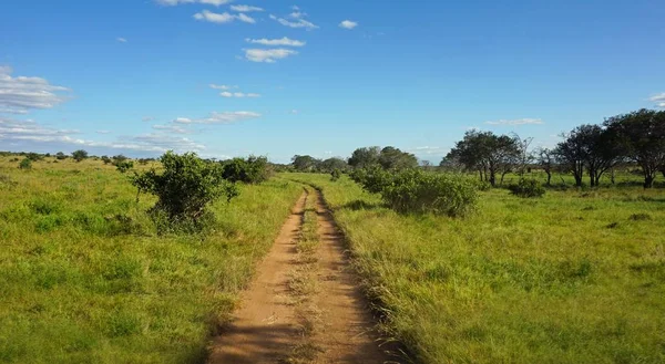 Paisagem Natural Verde Parque Safári Quênia Após Estação Chuvosa — Fotografia de Stock