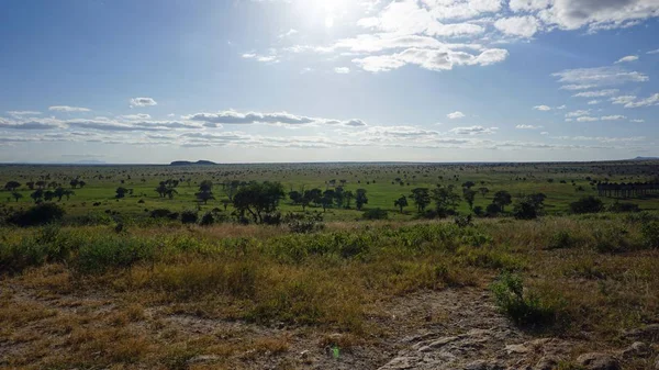 Paisagem Natural Verde Parque Safári Quênia Após Estação Chuvosa — Fotografia de Stock