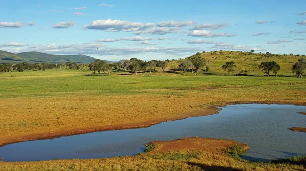 Мальовничий Пейзаж Навколо Води Цілий Кенійському Національному Парку — стокове фото