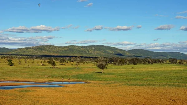 Schilderachtige Landschap Rond Water Geheel Keniaanse Nationaal Park — Stockfoto