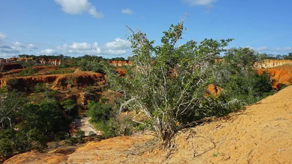 Hells mutfak Kanyonu Keyna Marafa