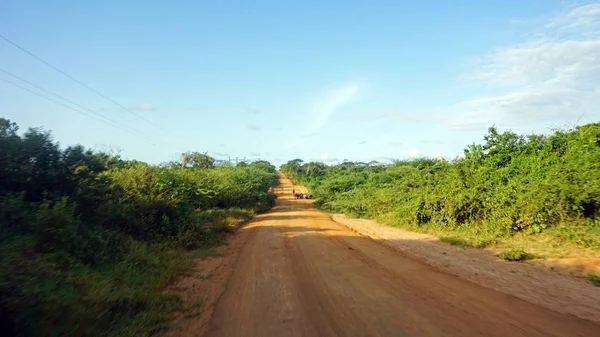 kenya tipik kırmızı yola yakın marafa yapım aşamasında