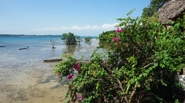 tropik ada wasini Kenya sahil