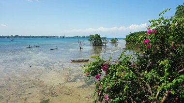 tropik ada wasini Kenya sahil