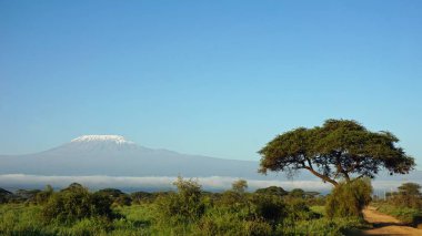 kilimanjaro Dağı ile Kenya milli park peyzaj