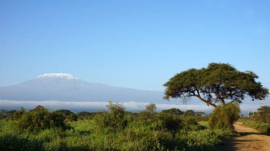 kilimanjaro Dağı ile Kenya milli park peyzaj