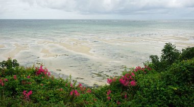 bulutlu bir günde Kenya nyali vahşi kıyısında