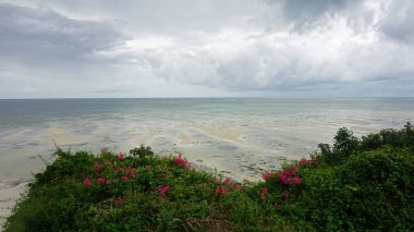 bulutlu bir günde Kenya nyali vahşi kıyısında