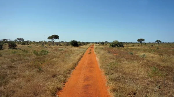 肯尼亚国家公园的尘土飞扬的红色路 — 图库照片