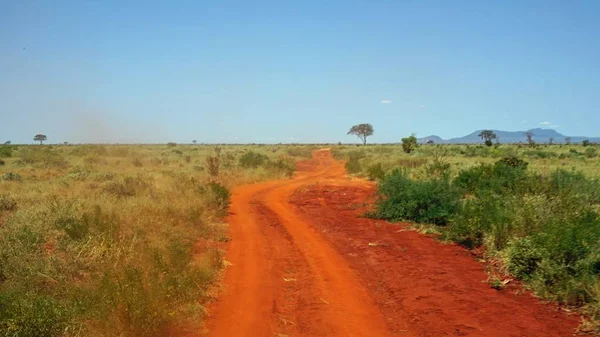 Kenya Ulusal Park tozlu kırmızı yol