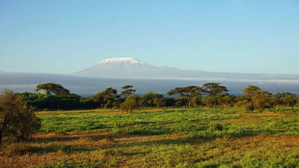 kilimanjaro Dağı ile Kenya milli park peyzaj