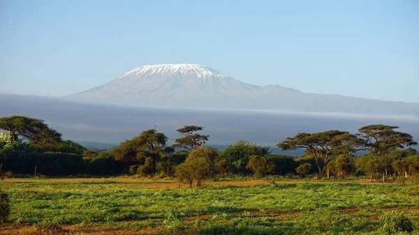 kilimanjaro Dağı ile Kenya milli park peyzaj