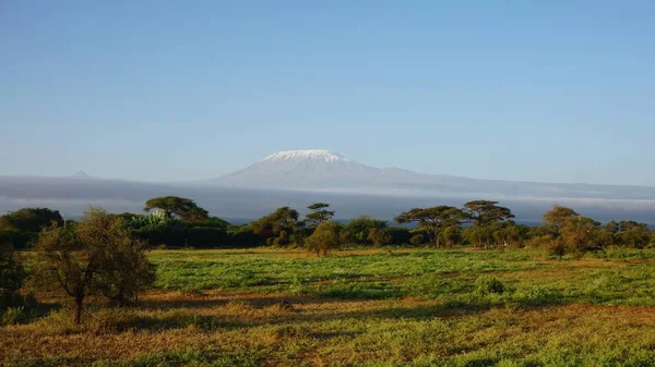kilimanjaro Dağı ile Kenya milli park peyzaj