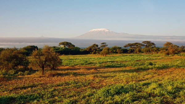 Landscape in kenyan national park with mount kilimanjaro