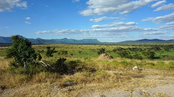 Groene Natuurlijke Landschap Keniaanse Safaripark Seizoen Regent — Stockfoto