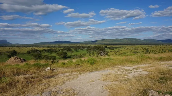 Gröna Landskap Kenyanska Safari Park Efter Regnar Säsong — Stockfoto