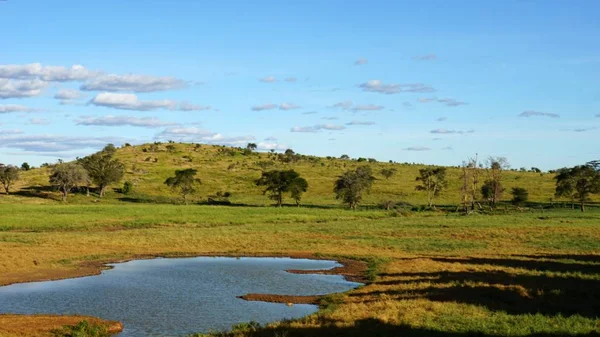 Schilderachtige Landschap Rond Water Geheel Keniaanse Nationaal Park — Stockfoto