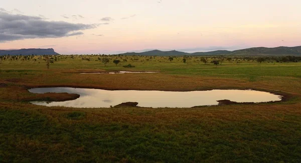 Malerische Landschaft Ein Wasserloch Kenianischen Nationalpark — Stockfoto