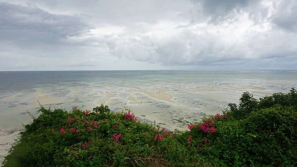 bulutlu bir günde Kenya nyali vahşi kıyısında