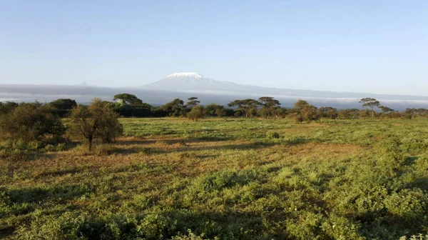 Landschaft Kenianischen Nationalpark Mit Dem Kilimandscharo — Stockfoto