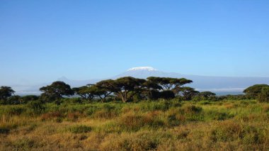 kilimanjaro Dağı ile Kenya milli park peyzaj