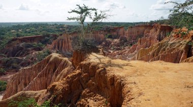 Hells mutfak Kanyonu Keyna Marafa