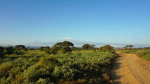 Paesaggio Nel Parco Nazionale Keniota Con Monte Kilimangiaro — Foto Stock