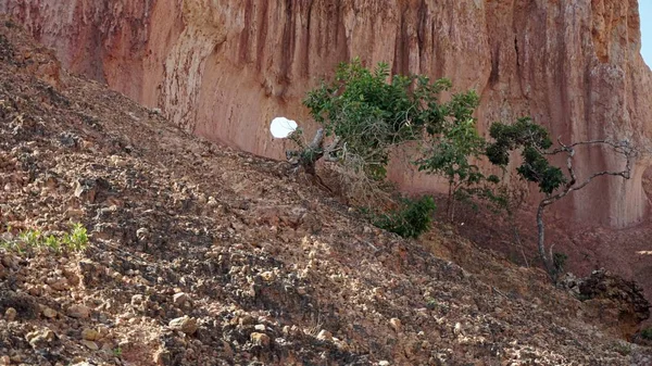 Hells mutfak Kanyonu Keyna Marafa