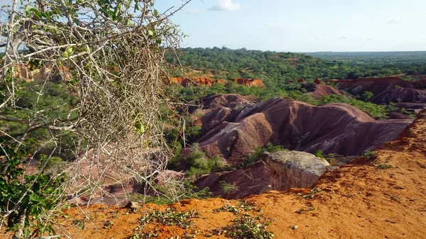 Hells mutfak Kanyonu Keyna Marafa