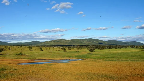 Schilderachtige Landschap Rond Water Geheel Keniaanse Nationaal Park — Stockfoto