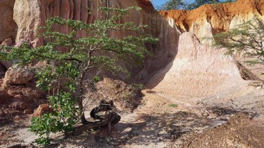 Hells mutfak Kanyonu Keyna Marafa