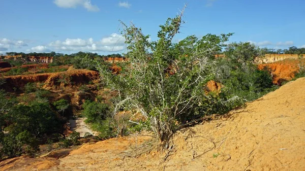 Hells mutfak Kanyonu Keyna Marafa