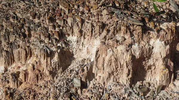 Hells mutfak Kanyonu Keyna Marafa