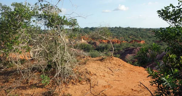 Hells mutfak Kanyonu Keyna Marafa