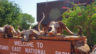 Voi, Kenya, Haziran 2018 - yaklaşık Milli Parkı girişi