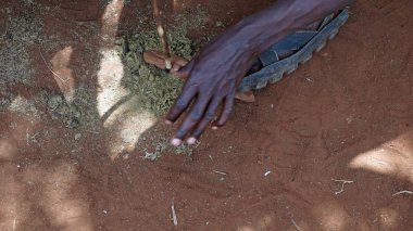 Kimana, Kenya, Haziran 2018 - yaklaşık geleneksel Masai Köyü