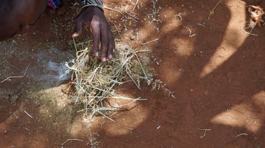 Kimana, Kenya, Haziran 2018 - yaklaşık geleneksel Masai Köyü