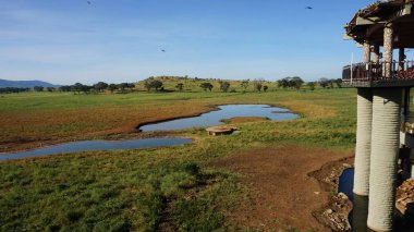 Voi, Kenya, Haziran 2018 - yaklaşık rahat Safari Lodges