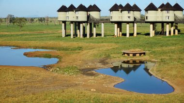 Voi, Kenya, Haziran 2018 - yaklaşık rahat Safari Lodges